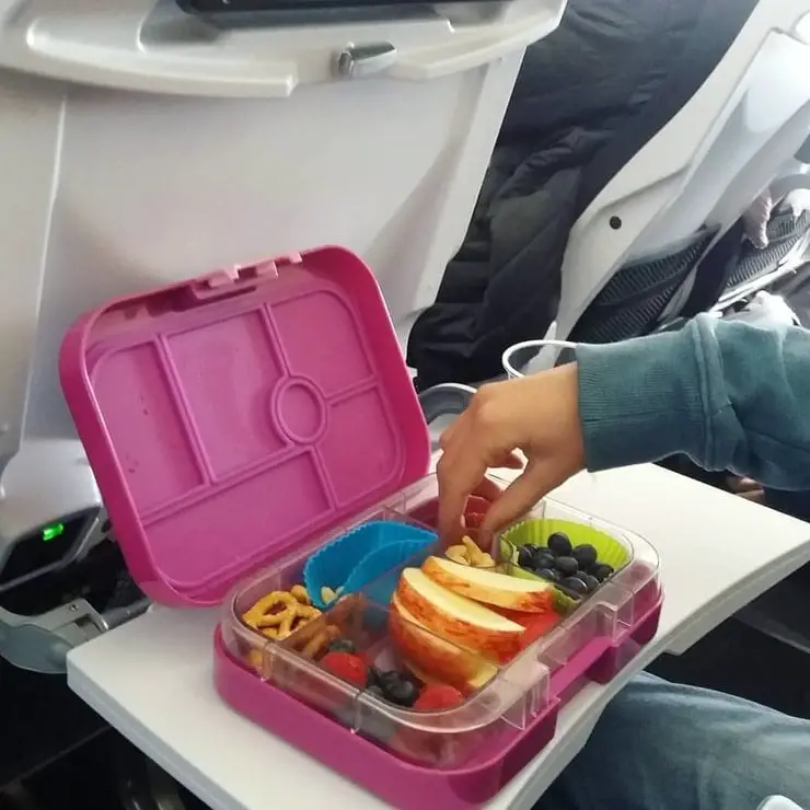 lunch-box on plane