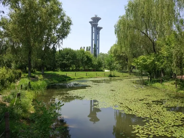 olympic forest park