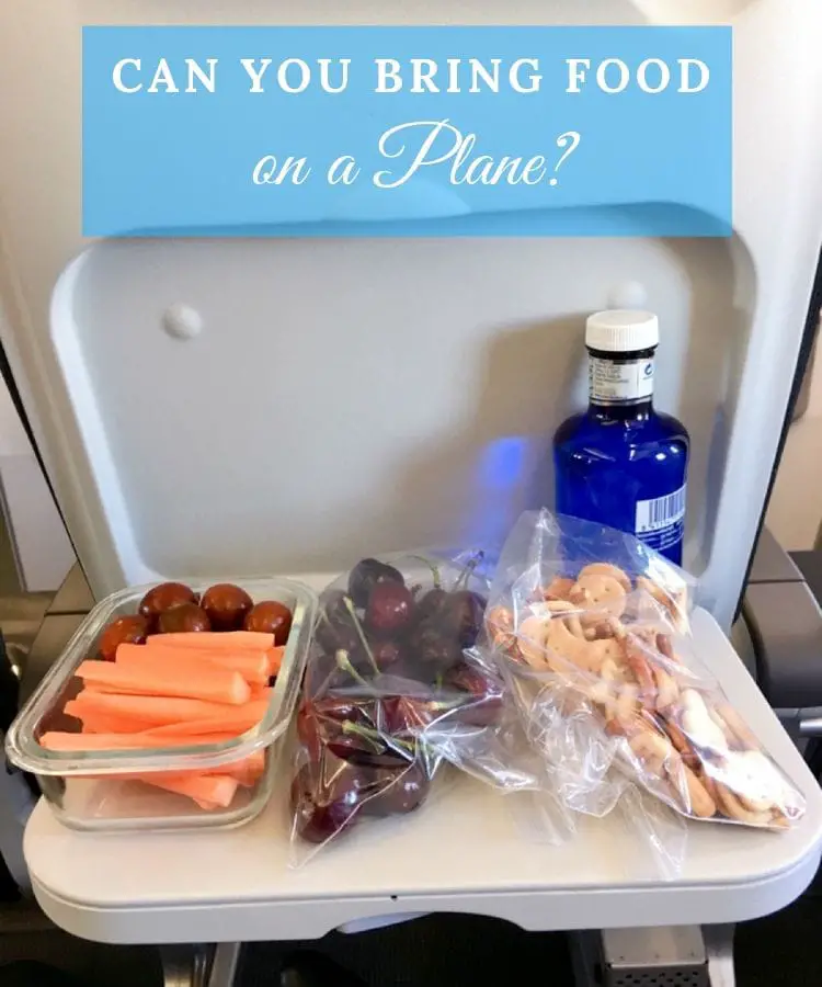 Can You Bring Food On a Plane? What Food? What About Alcohol?