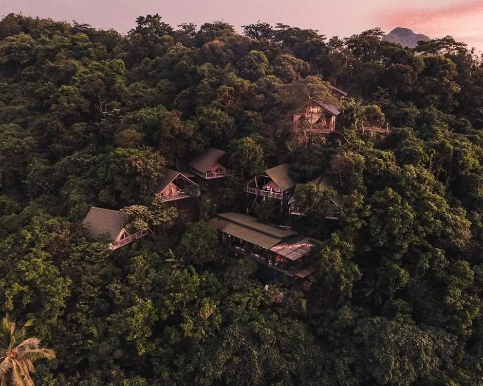 birdhouse el nido