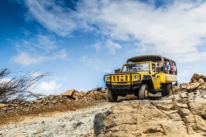 baby beach safari