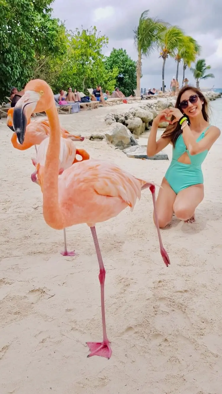 famingos at flamingo beach