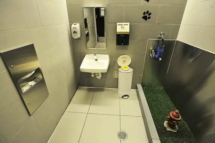 jfk airport pet friendly toilet