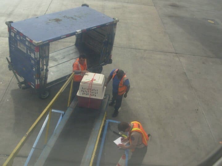 loading a crate in cargo