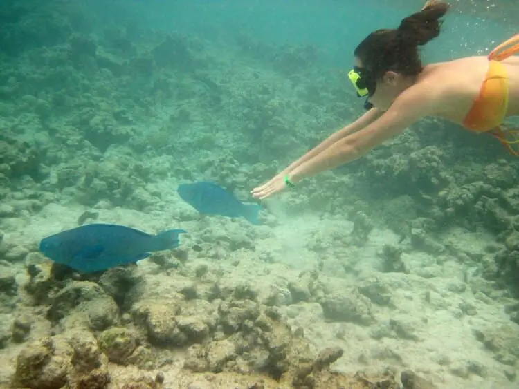 snorkeling at baby beach