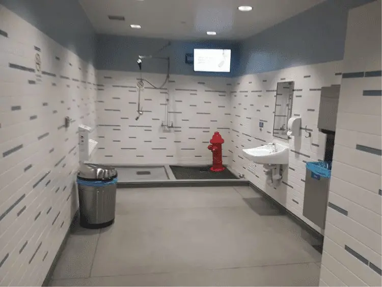 washington airport pet friendly restrooms