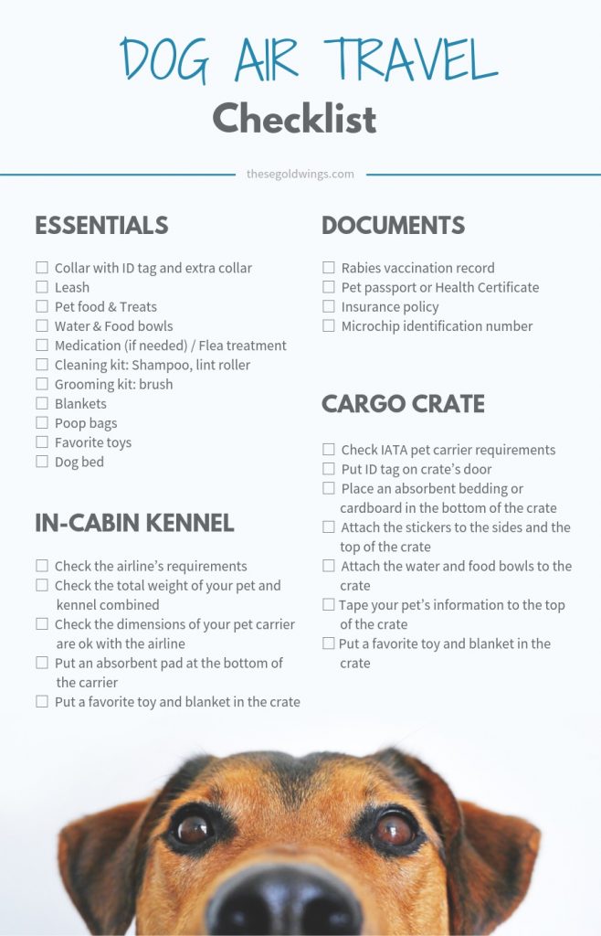 infographic dog air travel checklist