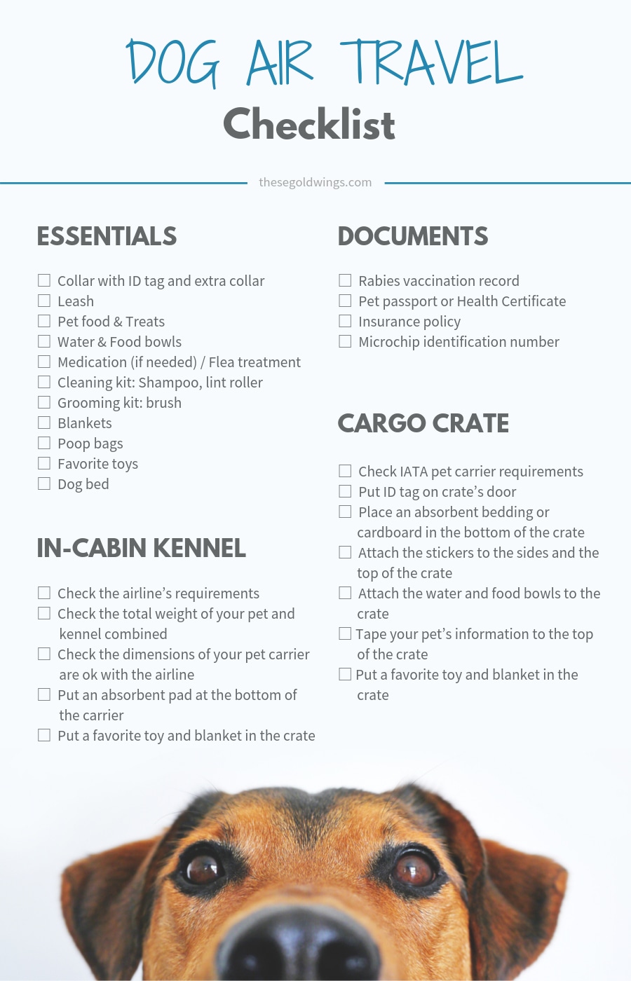 dog food and water travel kit