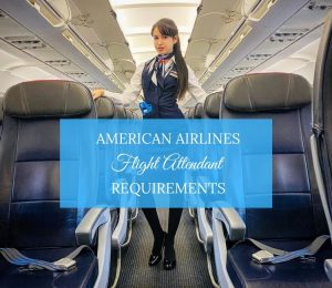 international travel requirements american airlines