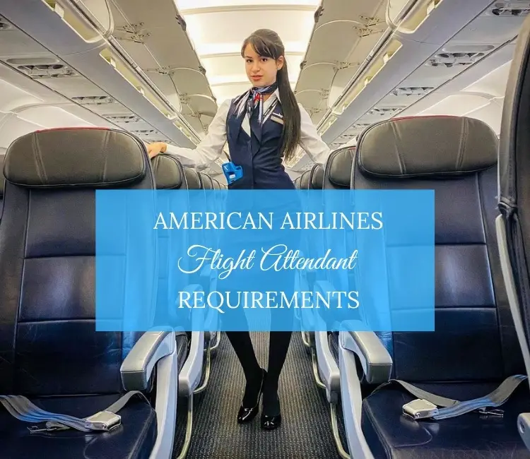 American Airlines Flight Attendant Requirements Things to Know