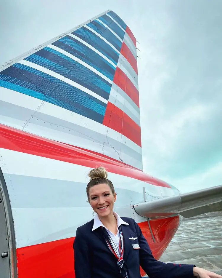 american airlines flight attendant