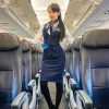 american airlines flight attendant requirements