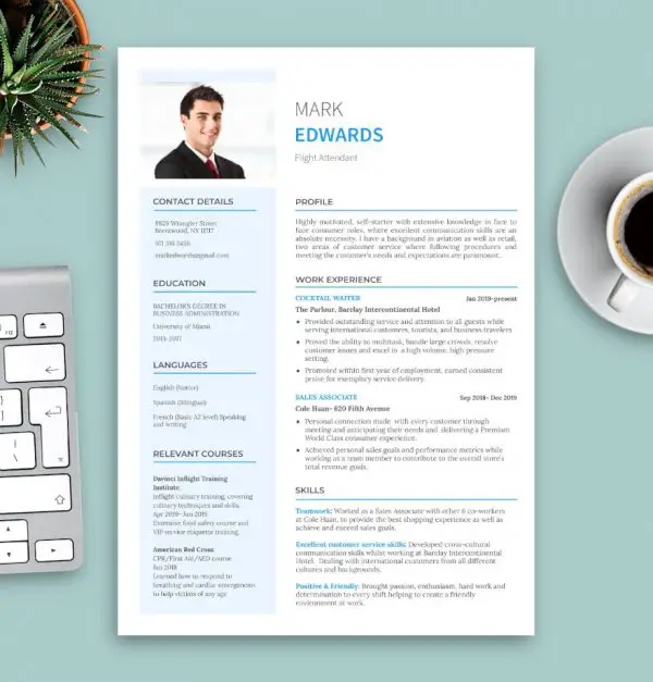 cv flight attendant template without photo blue