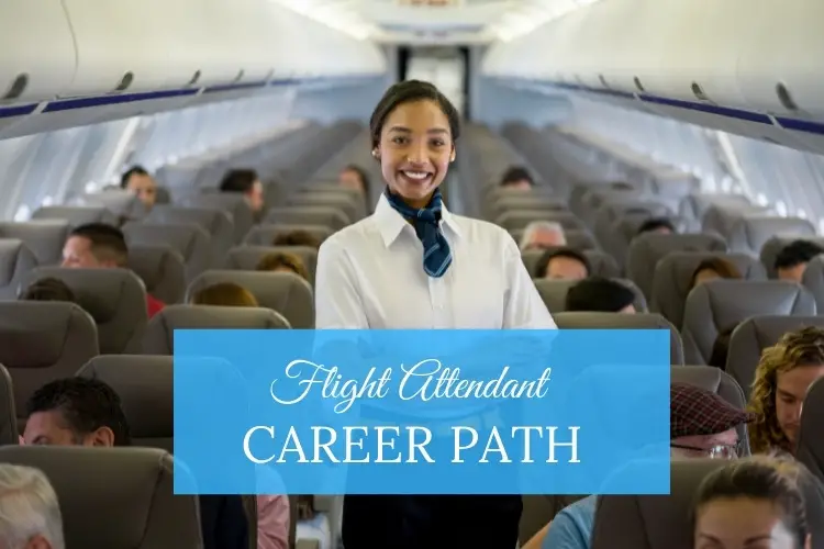 flight attendant career path