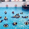 flight attendants in swimming pool