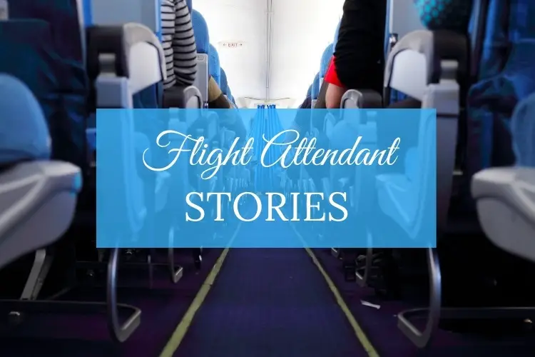 flight attendant stories