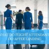 flight attendant after landing