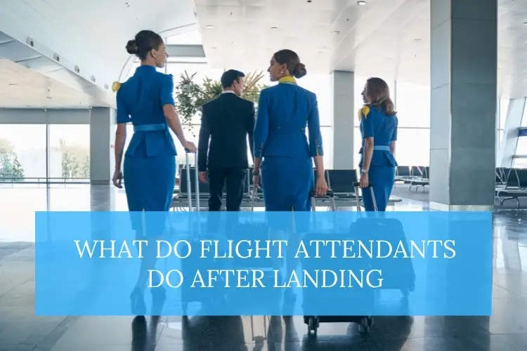 flight attendant after landing