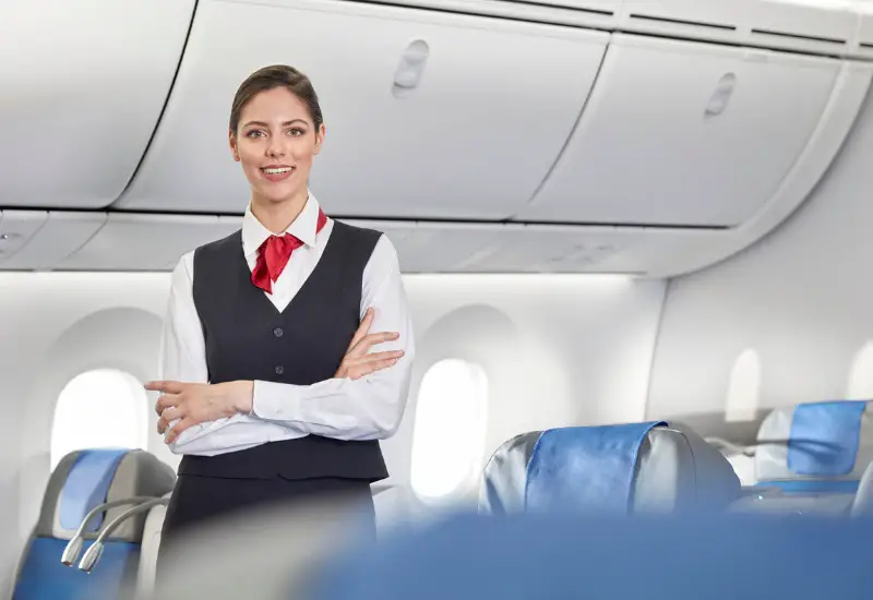 flight attendant