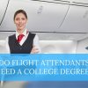 flight attendant college degree