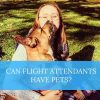flight attendant and dog
