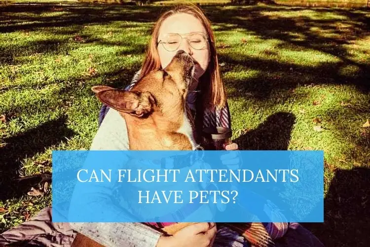 flight attendant and dog