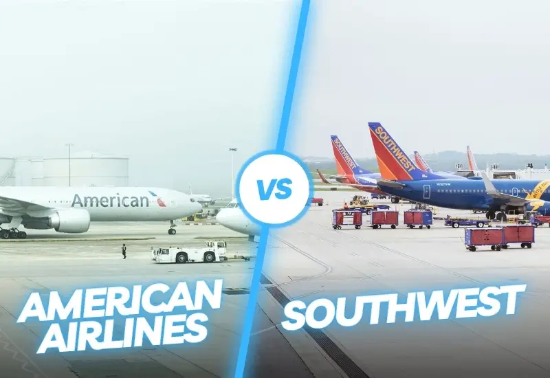 Flight Attendant: Southwest vs. American Airlines