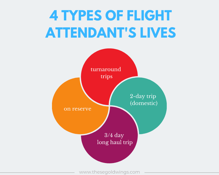 flight attendant types of lives