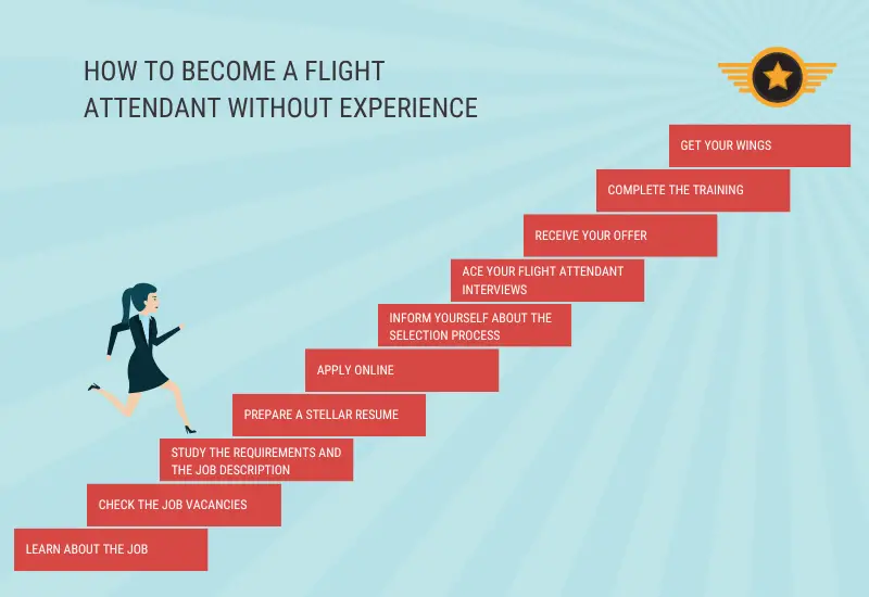 infographic flight attendant without experience