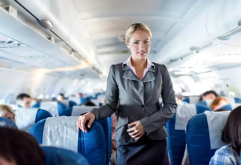 flight attendant