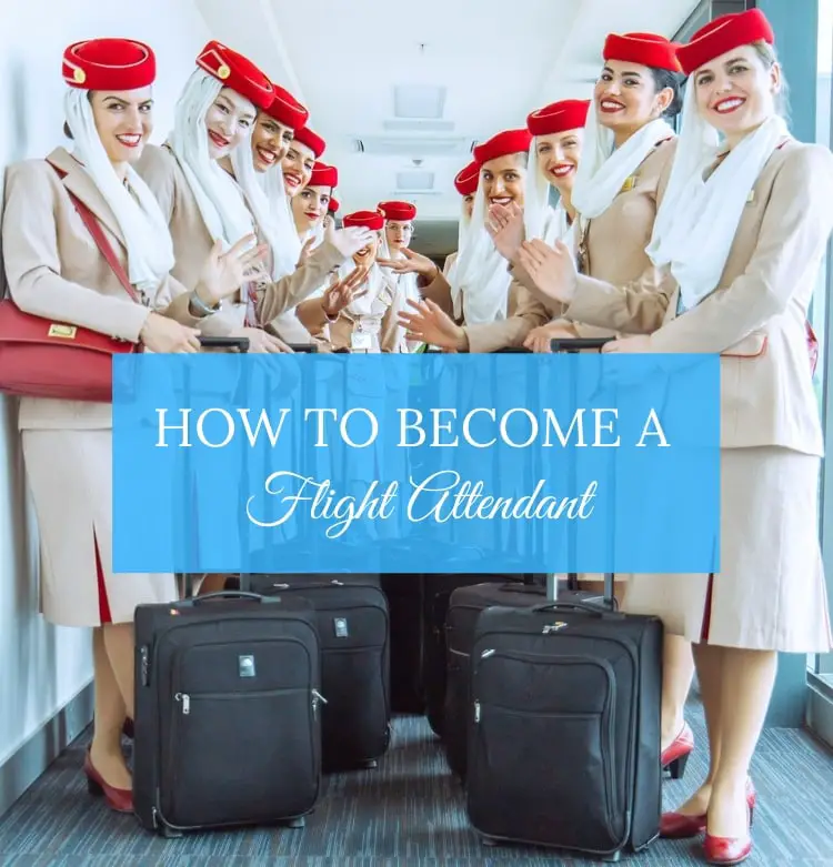 How to a Flight Attendant 8 Hiring Process Steps