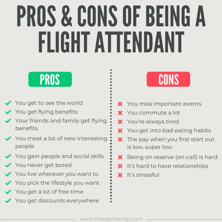 pros & cons flight attendant infographic