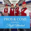 pros & cons being flight attendants