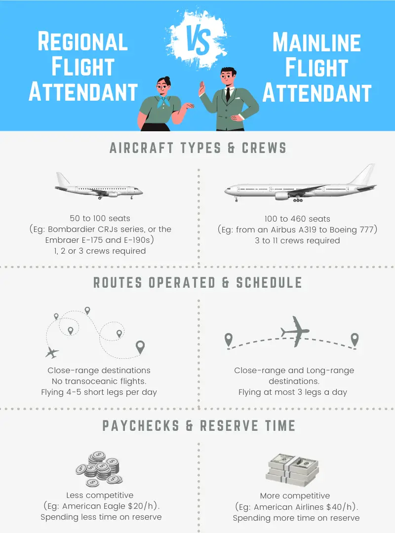 infographic regional vs mainline flight attendant