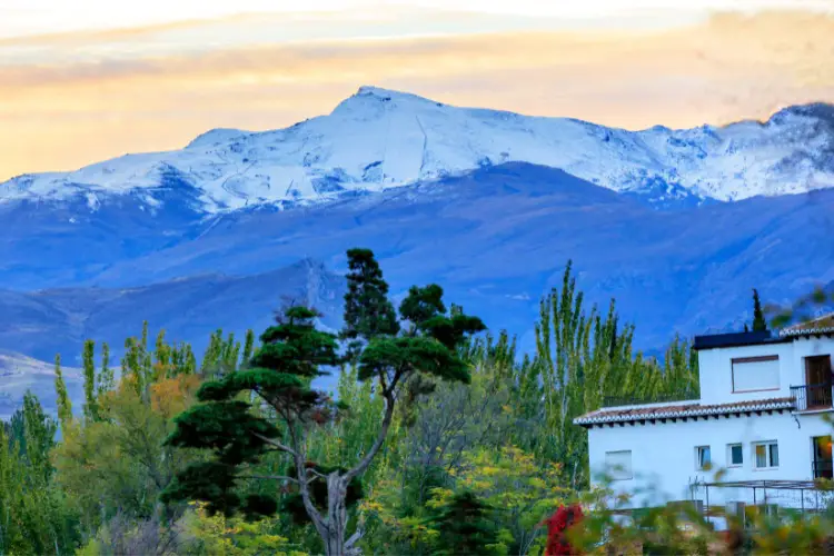 sierra nevada