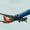 Southwest Flight Attendant Requirements