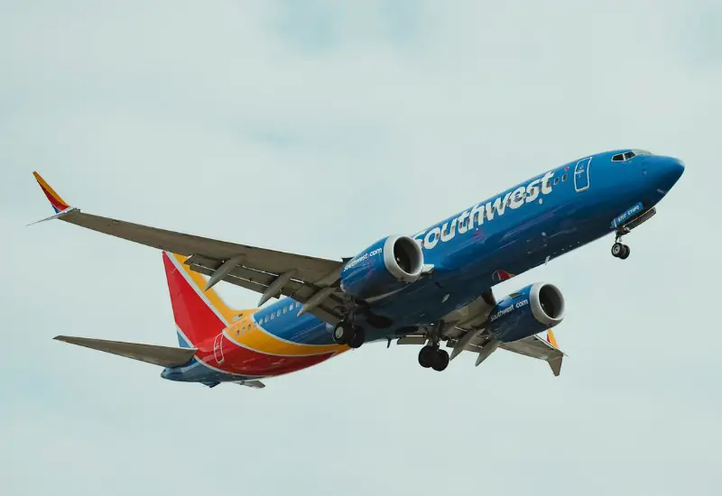 Southwest Flight Attendant Requirements