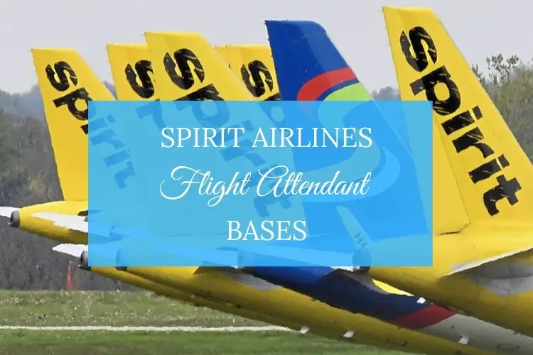 spirit airlines fight attendant bases