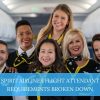 spirit airlines flight attendant equirements