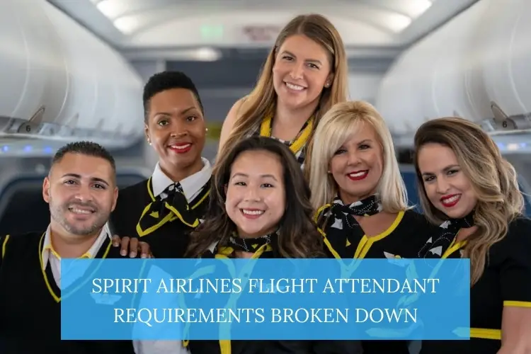 spirit airlines flight attendant equirements