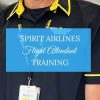 spirit flight attendant training