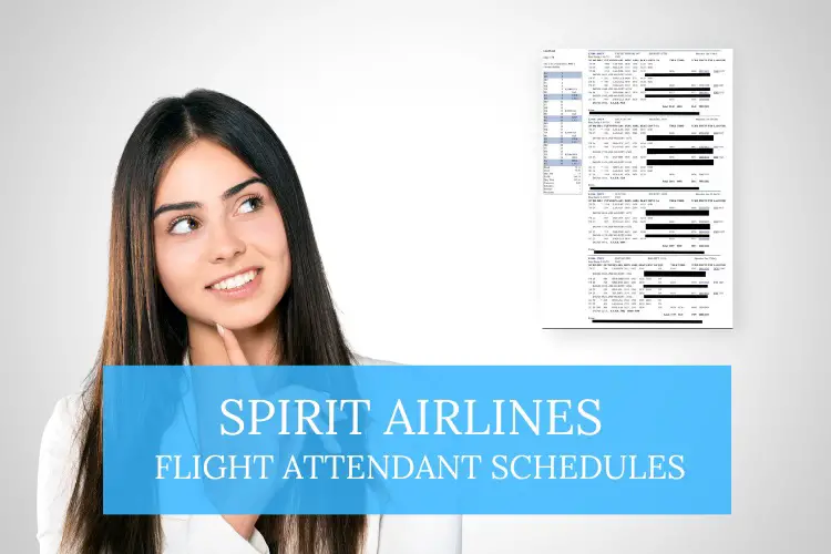 spirit flight attendant schedules