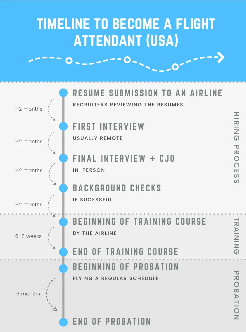 infographics timeline become flight attendant